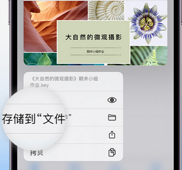 仪征apple维修中心分享iPhone文件应用中存储和找到下载文件