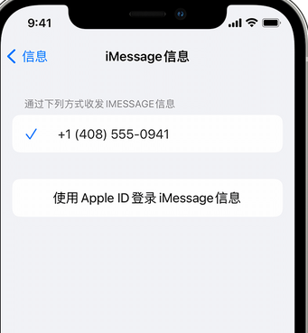 仪征apple维修iPhone上无法正常发送iMessage信息 