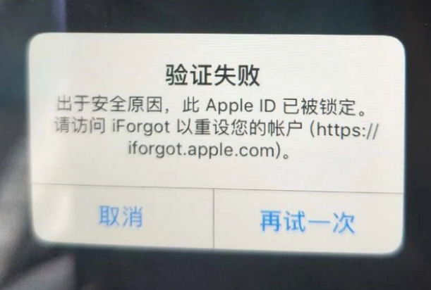 仪征iPhone维修分享iPhone上正常登录或使用AppleID怎么办 