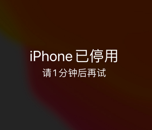 仪征苹果手机维修分享:iPhone 显示“不可用”或“已停用”怎么办？还能保留数据吗？ 