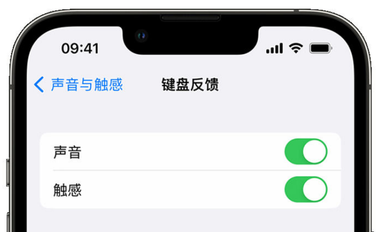 仪征苹果手机维修分享iPhone 14触感键盘使用方法 