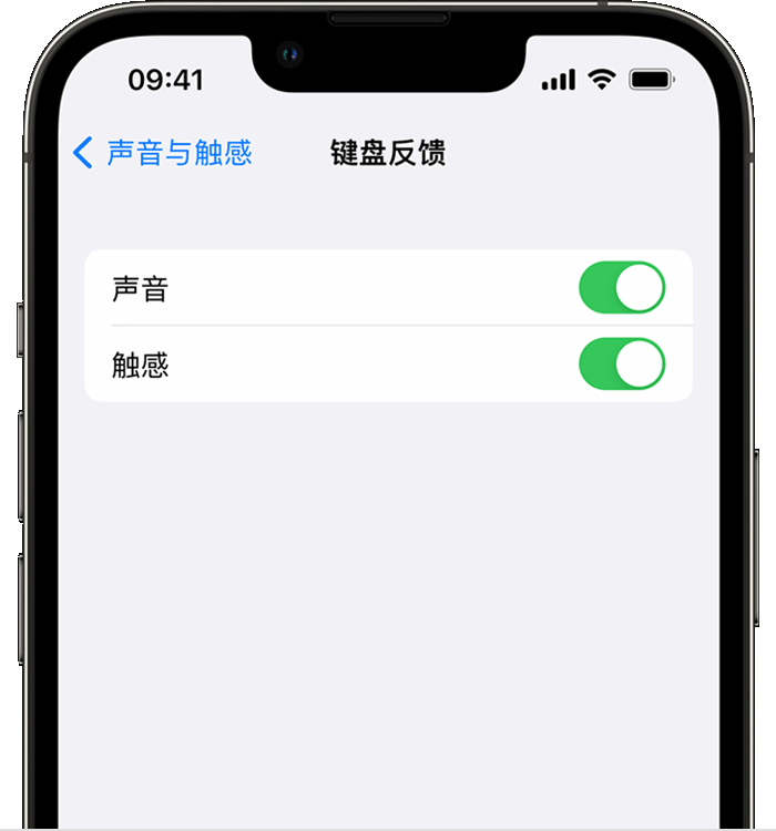 仪征苹果14维修店分享如何在 iPhone 14 机型中使用触感键盘 