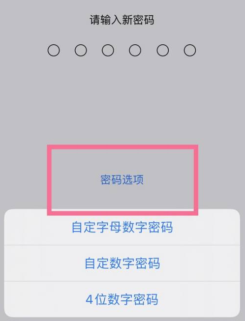 仪征苹果14维修分享iPhone 14plus设置密码的方法 