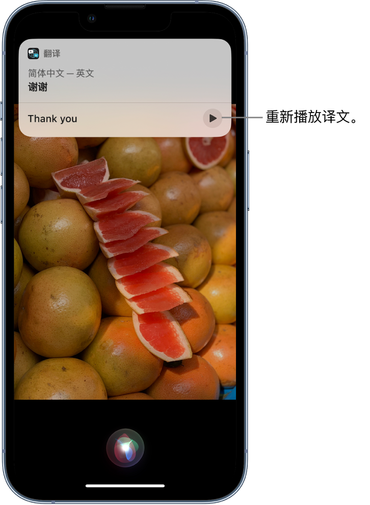 仪征苹果14维修分享 iPhone 14 机型中使用 Siri：了解 Siri 能帮你做什么 