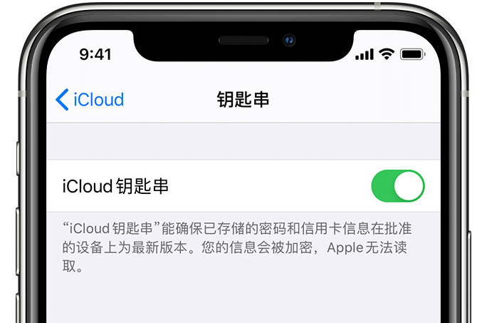 仪征苹果手机维修分享在 iPhone 上开启 iCloud 钥匙串之后会储存哪些信息 