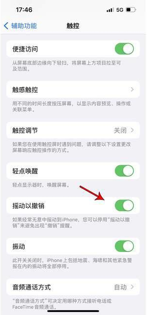 仪征苹果手机维修分享iPhone手机如何设置摇一摇删除文字 