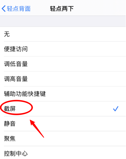 仪征苹果手机维修分享iPhone12如何启用双击截屏 