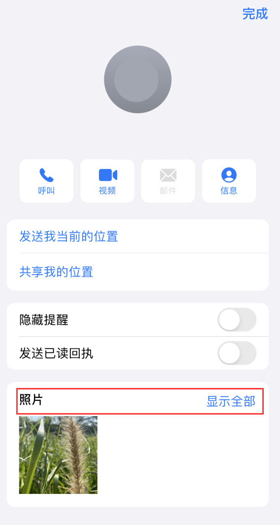 仪征苹果手机维修分享如何快速查找 iMessage 信息中的图片等附件 