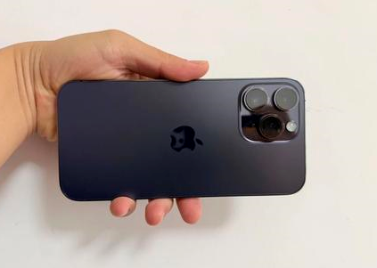 仪征苹果维修点分享iPhone 14 Pro Max黑屏少见故障盘点 